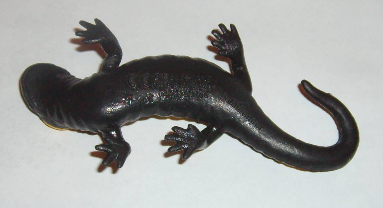 Salamandre in vendita...